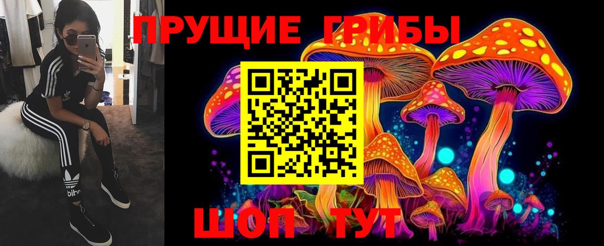 Псилоцибиновые грибы GOLDEN TEACHER  наркошоп  Ярославль  Вход с VPN 